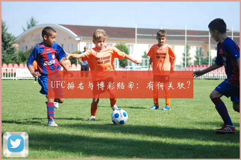 UFC排名与博彩赔率：有何关联？