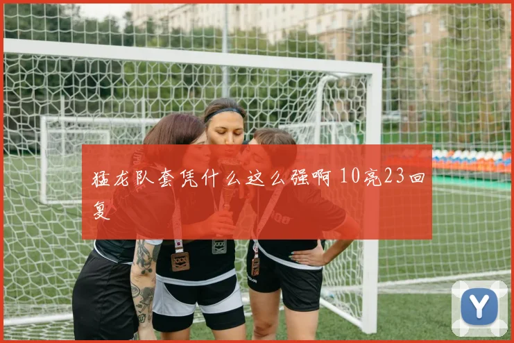 猛龙队套凭什么这么强啊 10亮23回复