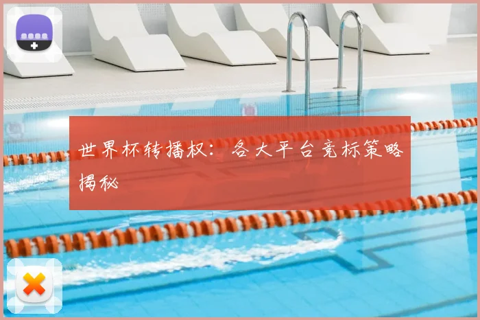 世界杯转播权：各大平台竞标策略揭秘